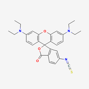 Protein hydrolyzates, yeast structure, CAS 100684-36-4