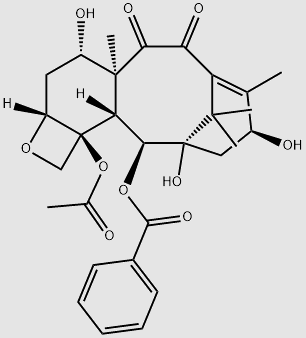 10-Oxo-Deacetyl Bacatin III structure, CAS 92950-45-3
