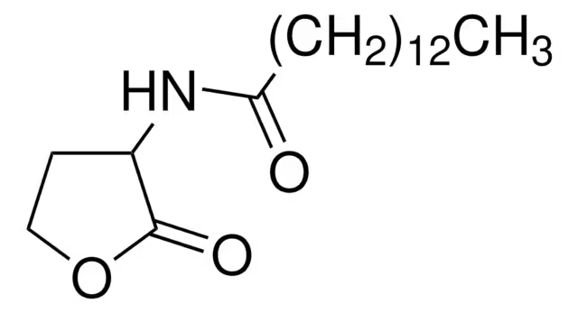 DL-Homoserine Lactone hydrochloride structure, CAS 42417-39-0