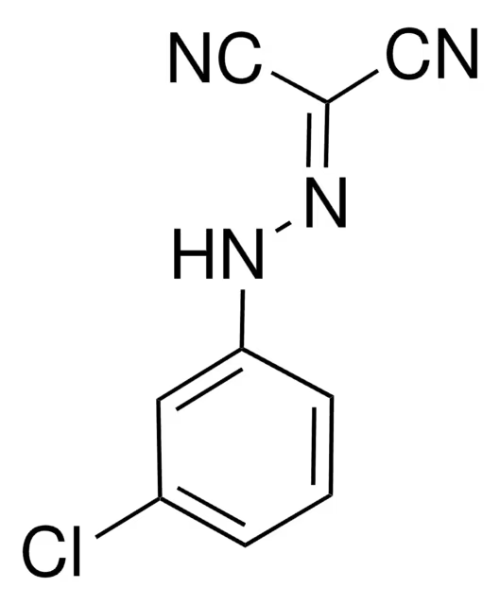 CARBONYL CYANIDE 3-CHLOROPHENYLHYDRAZONE structure, CAS 555-60-2