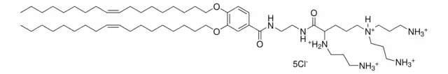 N1-[2-((1S)-1-[(3-aminopropyl)amino]-4-[di(3-amino-propyl)amino]butylcarboxamido)ethyl]-3,4-di[oleyloxy]-benzamide structure, CAS 464926-03-2