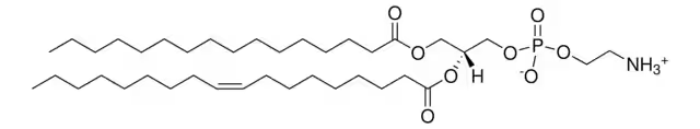 1-HEXADECANOYL-2-[CIS-9-OCTADECENOYL]-SN-GLYCERO-3-PHOSPHOETHANOLAMINE structure, CAS 26662-94-2