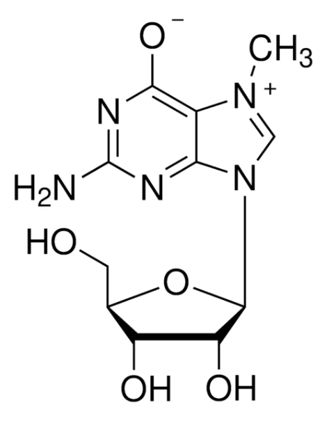 NUCLEOSIDE PHOSPHORYLASE BACTERIAL structure, CAS 9059-37-4
