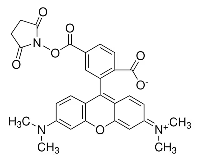 6-Carboxytetramethylrhodamine succinimidyl ester structure, CAS 150810-69-8