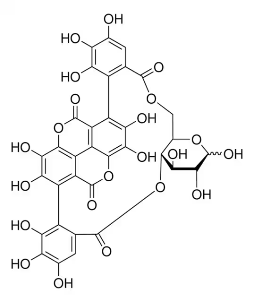 vina-ginsenoside R4 structure, CAS 156009-80-2