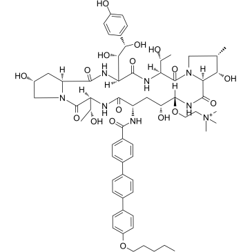 Rezafungin structure, CAS 1396640-59-7