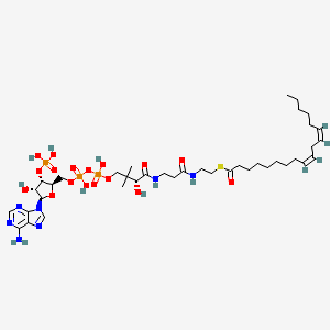 LINOLEOYL COENZYME A structure, CAS 6709-57-5