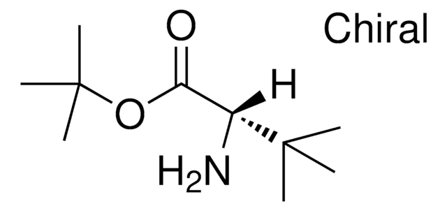 tert-butyl (1S,2S)-2-aMino-3,3-difluorocyclohexylcarbaMate structure, CAS 1374973-19-9