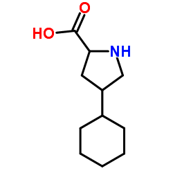 Nuclease, streptococcal deoxyribo- structure, CAS 37340-82-2