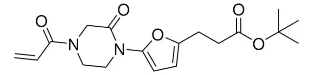2-Furancarboxylic acid, 4-(1,1-dimethylethyl)- structure, CAS 59414-09-4