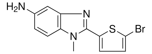 5-bromo-1-methyl-1H-pyrrol-2-amine structure, CAS 2089998-58-1