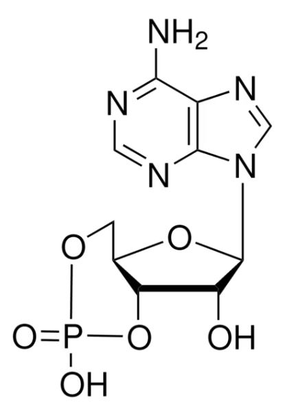 2',5'-Di-O-acetyladenosine structure, CAS 6554-23-0