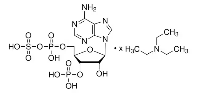 6-amino-9-[3-hydroxy-5-[(hydroxy-sulfooxy-phosphoryl)oxymethyl]-4-phosphonooxy-oxolan-2-yl]-purine structure, CAS 482-67-7
