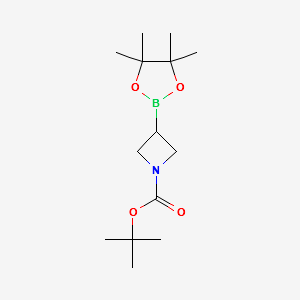 1-Azetidinecarboxylic acid, 3-(4,4,5,5-tetramethyl-1,3,2-dioxaborolan-2-yl)-, 1,1-dimethylethyl ester structure, CAS 2304635-53-6