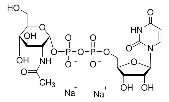 UDP-ALPHA-D-N-ACETYLGLUCOSAMINE, DISODIUM SALT structure, CAS 91183-98-1