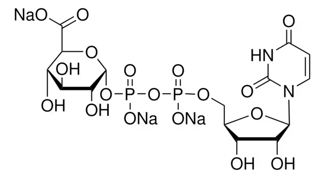 Uridine 5'-diphospho-galuronic acid trisodium structure, CAS 148407-07-2