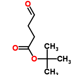 TERT BUTYL 4-OXOBUTANOATE structure, CAS 51534-77-1