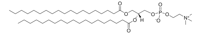 1,2-DINONADECANOYL-SN-GLYCERO-3-PHOSPHATIDYLCHOLINE structure, CAS 95416-27-6