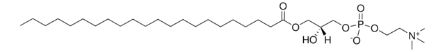 1-BEHENOYL-2-HYDROXY-SN-GLYCERO-3-PHOSPHOCHOLINE structure, CAS 125146-65-8