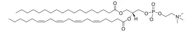 1-OCTADECANOYL-2-[(CIS,CIS,CIS,CIS)-5,8,11,14-EICOSATETRAENOYL]-SN-GLYCERO-3-PHOSPHOCHOLINE structure, CAS 35418-59-8
