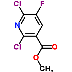 METHYL 2,6-DICHLORO-5-FLUORONICOTINATE structure, CAS 189281-66-1