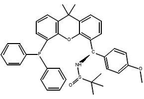 [S(R)]-N-[(R)-[5-(Diphenylphosphino)-9,9-dimethyl-9H-xanthen-4-yl](4-methoxyphenyl)methyl]-2-methyl-2-propanesulfinamide structure, CAS 2160535-56-6