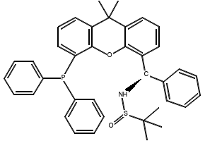 [S(R)]-N-[(R)-[4-(1,1-Dimethylethyl)phenyl][5-(diphenylphosphino)-9,9-dimethyl-9H-xanthen-4-yl]methyl]-2-methyl-2-propanesulfinamide structure, CAS 2160535-58-8