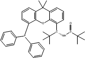 [S(R)]-N-[(1R)-1-[5-(Diphenylphosphino)-9,9-dimethyl-9H-xanthen-4-yl]-2,2-dimethylpropyl]-2-methyl-2-propanesulfinamide structure, CAS 2162939-92-4
