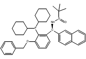 [S(R)]-N-[(S)-[3-(Benzyloxy)-2-(dicyclohexylphosphino)phenyl]-(2-naphthalenyl)methyl]-2-methyl-2-propanesulfinamide structure, CAS 2565792-69-8
