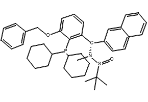 [S(R)]-N-[(S)-[3-(Benzyloxy)-2-(dicyclohexylphosphino)phenyl]-(2-naphthalenyl)methyl]-N,2-dimethyl-2-propanesulfinamide structure, CAS 2565792-55-2