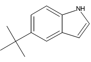 5-(tert-Butyl)-1H-indole structure, CAS 92462-70-9
