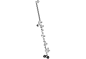 Fmoc-L-Lys[C20-OtBu-Glu(OtBu)-AEEA-AEEA]-OH structure, CAS 2460751-66-8