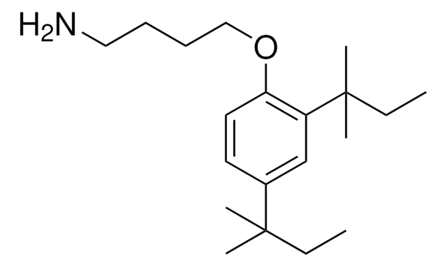 Di-tert-butylamine structure, CAS 21981-37-3