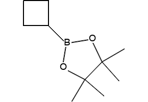 Cyclobutylboronic acid pinacol ester structure, CAS 1360914-08-4