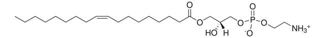 1-OLEOYL-2-HYDROXY-SN-GLYCERO-3-PHOSPHOETHANOLAMINE structure, CAS 89576-29-4