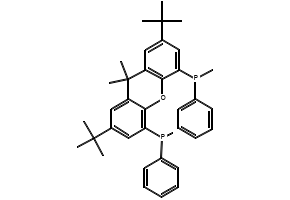 4,5-Diphenylphosphino-2,7-di-tert-butyl-9,9-dimethoxyxanthene structure, CAS 221462-97-1