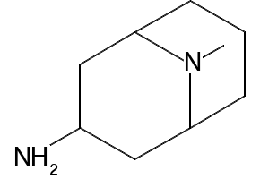 Endo-9-Methyl-9-Azabicyclo [3,3,1]-Nonan-3-Amine structure, CAS 76272-56-6