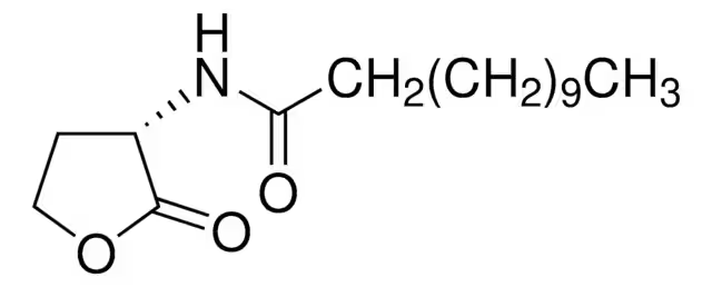 DDHL structure, CAS 137173-46-7