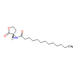 N-TRIDECANOYL-L-HOMSERINE LACTONE structure, CAS 878627-21-5