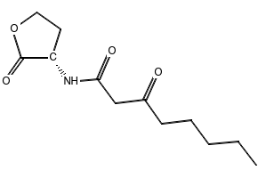 N-[(3S)-TETRAHYDRO-2-OXO-3-FURANYL]-UNDECANAMIDE structure, CAS 216596-71-3
