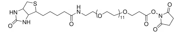 (+)-Biotin-PEG12-CH2CH2COONHS Ester structure, CAS 365441-71-0