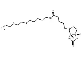 N-BIOTINYL-3,6,9-TRIOXAUNDECANE-1,11-DIAMINE structure, CAS 359860-27-8