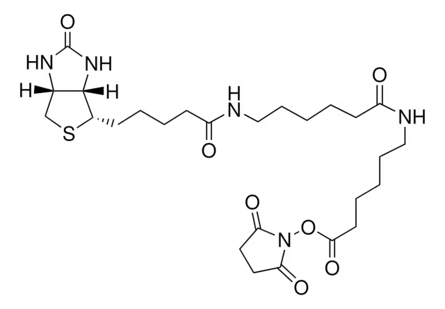 BIOTIN-XX-NHS structure, CAS 89889-52-1