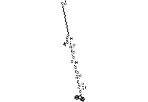 Fmoc-L-Lys[C20-OtBu-Glu(OtBu)-AEEA-AEEA]-OH structure, CAS 2915356-76-0