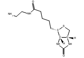 biotinylamidoethylacetamide structure, CAS 111790-37-5
