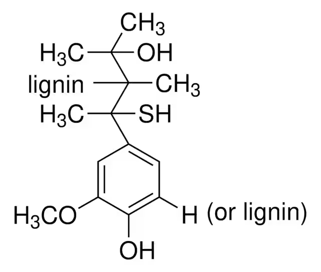 LIGNIN, ALKALI structure, CAS 8068-05-1