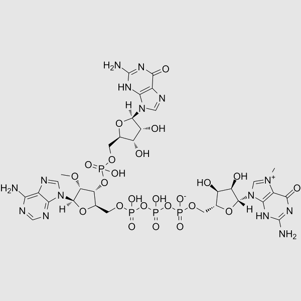 Guanosine, 7-methylguanylyloxyphosphinicooxyphosphinico-(5'→5')-2'-O-methyladenylyl-(3'→5')-, inner salt (9CI) structure, CAS 62858-30-4