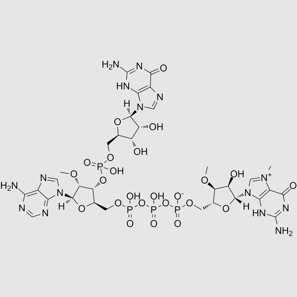 Guanosine, 7-methylguanylyloxyphosphinicooxyphosphinico-(5'→5')-2'-O-methyladenylyl-(3'→5')-, inner salt structure, CAS 2089461-55-0