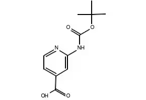 2-(tert-Butylamino)isonicotinic acid structure, CAS 1019387-62-2