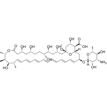 Amphotericin X1 (13-O-Methyl Amphotericin B) structure, CAS 136135-57-4